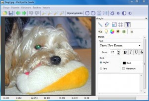 Pet Eye Fix Guide indir