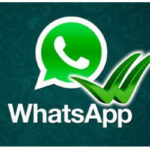 Whatsapp Plus Türkçe Apk indir