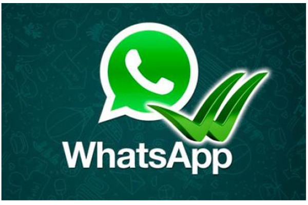 Whatsapp Plus Türkçe Apk indir