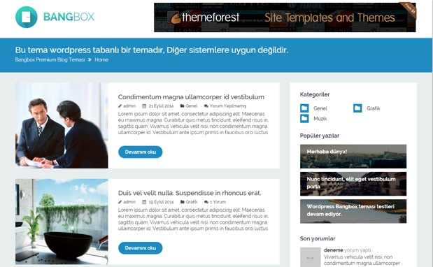 WordPress Blog Teması BangBox