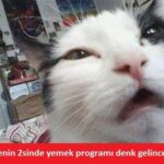 Caps Yapma Programı