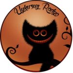 Android Uykusuz Radyo Uygulaması