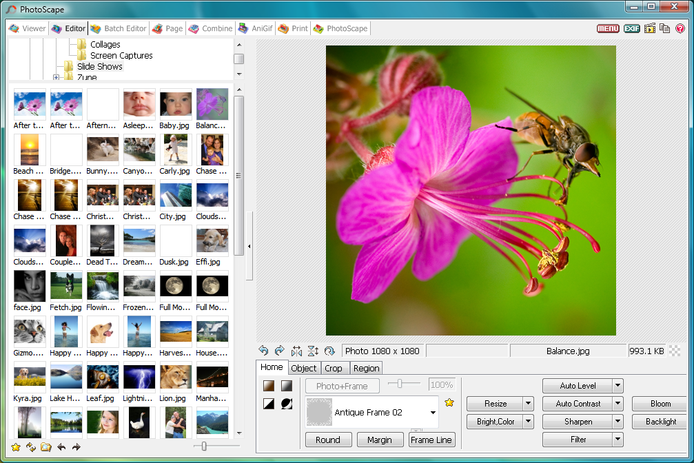 Photoscape последняя версия